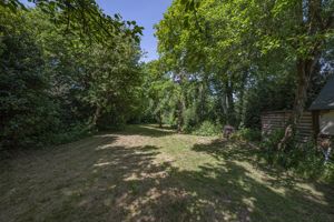 Photo 11- click for photo gallery